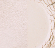 Silk Glow Light Jedwabny Puder Wykończeniowy - Rozświetlający